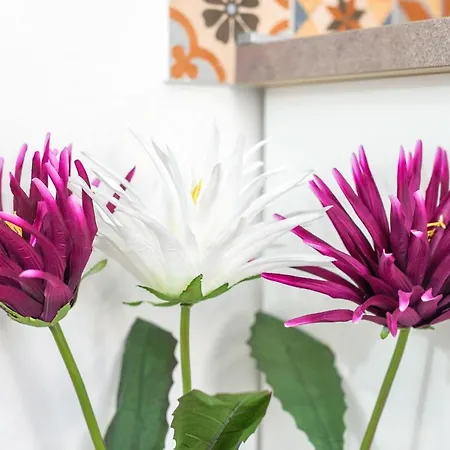 Vintage House Al Pozzo Appart hôtel