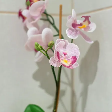 Appart hôtel Vintage House Al Pozzo 4*